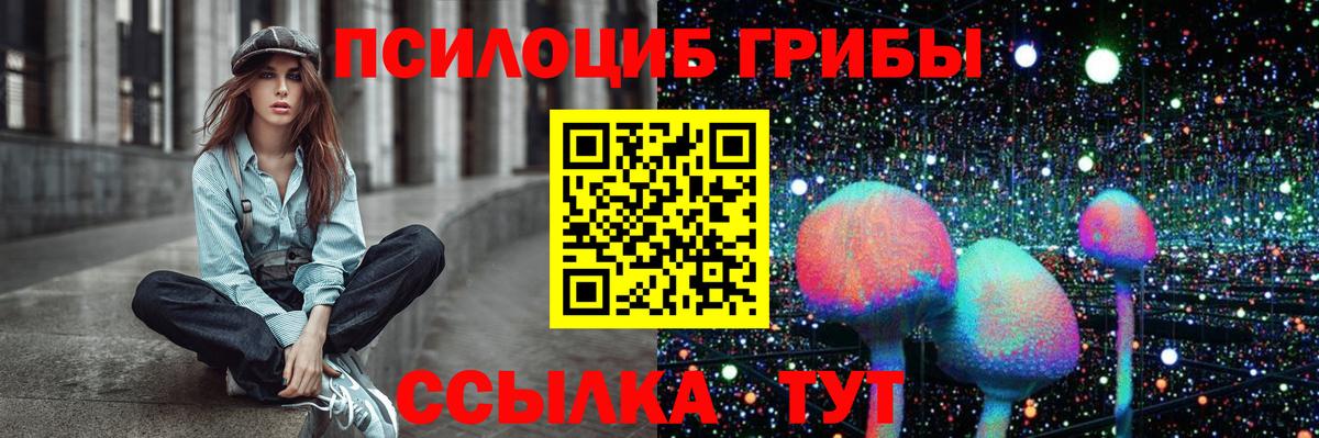 Северобайкальск  Псилоцибиновые грибы мухоморы  Вход с VPN 