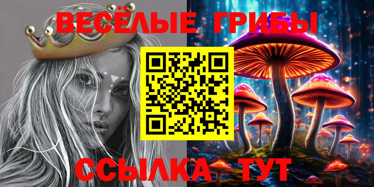 Псилоцибиновые грибы ЛСД Северобайкальск