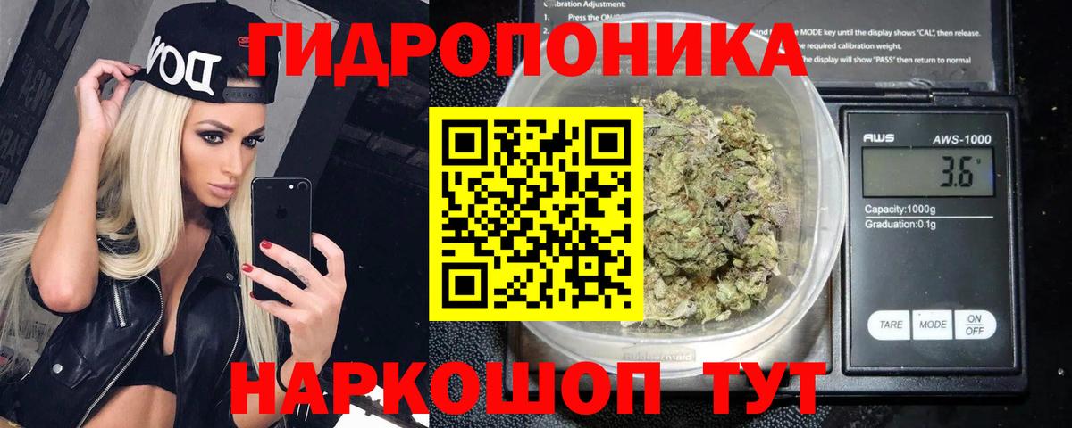 Марихуана планчик  Канабис план  Вход с VPN  Северобайкальск  Бошки Шишки индика 